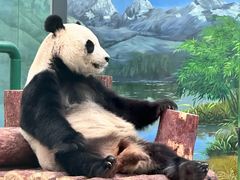 -天津市动物园