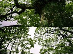-东江湖旅游区