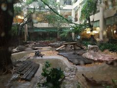 景观位-白虎自助餐厅·真老虎·景观自助餐厅(广州长隆酒店)
