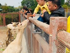 -无锡动物园·太湖欢乐园