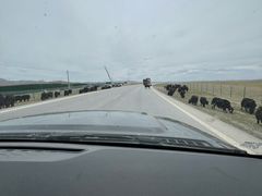 -花湖生态旅游区