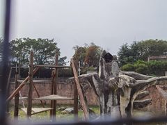 -南昌动物园