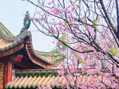 -宝墨园景区