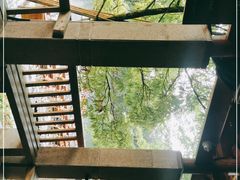 -九曲溪竹筏码头