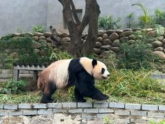 -石排湾郊野公园