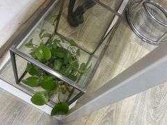 -白木黑冰(北京朝阳合生汇店)