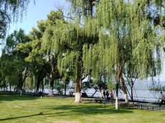 -柳浪闻莺公园