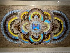 -上海昆虫博物馆