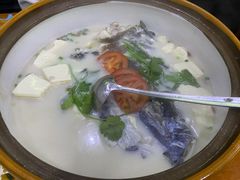 -全乐鱼馆·淳牌有机鱼直营店
