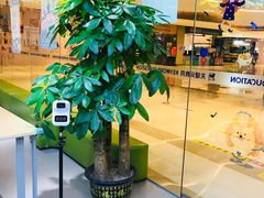-关键词英语·青少儿·语言培训(龙华壹方天地校区)