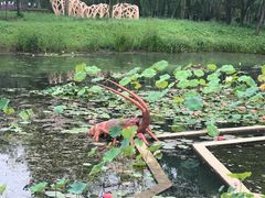 景点-微山湖红荷湿地景区