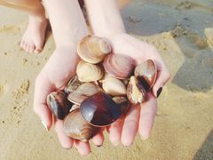 -北海金海湾红树林生态旅游区