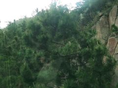 -崂山巨峰游览区