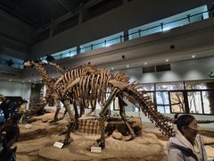 -自贡恐龙博物馆