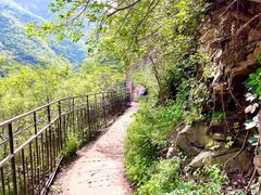 -双龙峡