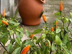 -丝绸小镇荻港古村