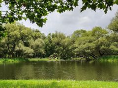 -上海共青森林公园