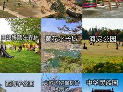 -国家植物园