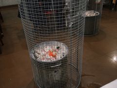 -鑫龙火锅城(经二纬四店)