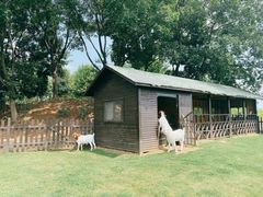-南京枫彩漫城
