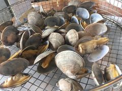 黄蚬子-海味当家·蒸锅海鲜(星海公园店)