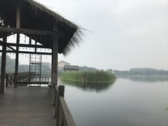 -溱湖国家湿地公园