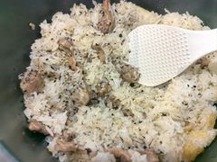 -大鸽饭(马王堆店)
