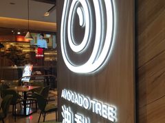 -油梨树AVOCADO TREE(嘉里中心店)