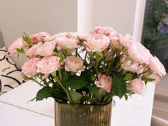 -名点荟·生日蛋糕·下午茶(五缘湾店)