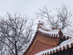 -故宫博物院(故宫)