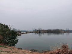 -金银湖国家城市湿地公园