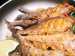 -夜食白市Yespicy·烧烤啤酒宵夜(番禺四海城店)