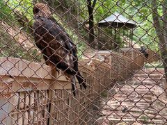 -青藏高原野生动物园