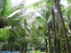 -广东茂名森林公园