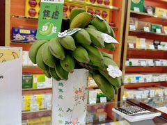 -同仁堂(北苑双营路店)