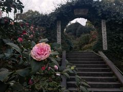 -南山植物园