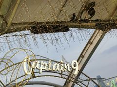 -船长9号·精致湖北菜(江滩店)