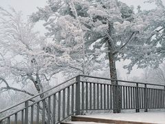 -洛阳白云山景区