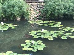 -月亮湾公园