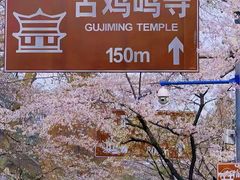 -鸡鸣寺