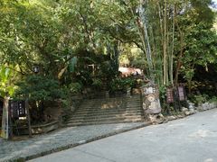 -老木棉·匠园