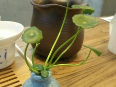 -MAP CHA普洱茶馆(翠湖店)