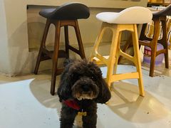 -唐咖精品咖啡(大理古城手冲店)