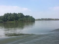 -溱湖国家湿地公园