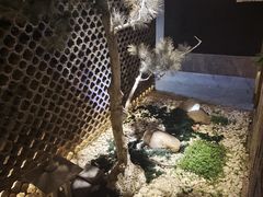 -古越堂影院式足道(九堡店)