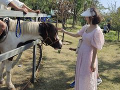 -上海长兴岛郊野公园