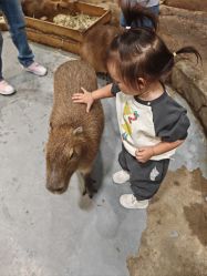 -Zoolung Zoolung动物主题公园(海信广场店)