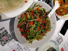 香菜炒牛肉-壹盏灯(惠农店)