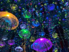 -成都梵高星空艺术馆(春熙路旗舰店)