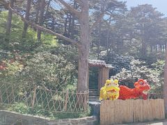 -黄山白云宾馆